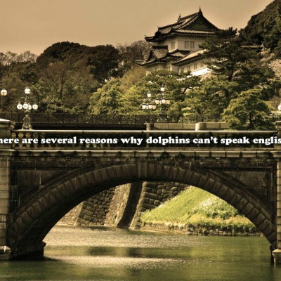 1920 x 1080 HD Wallpapers 1723